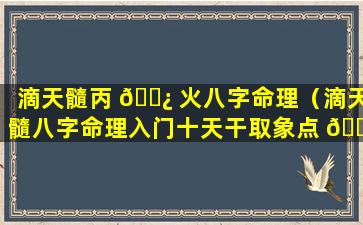 滴天髓丙 🌿 火八字命理（滴天髓八字命理入门十天干取象点 🐬 窍）